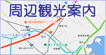 周辺観光案内